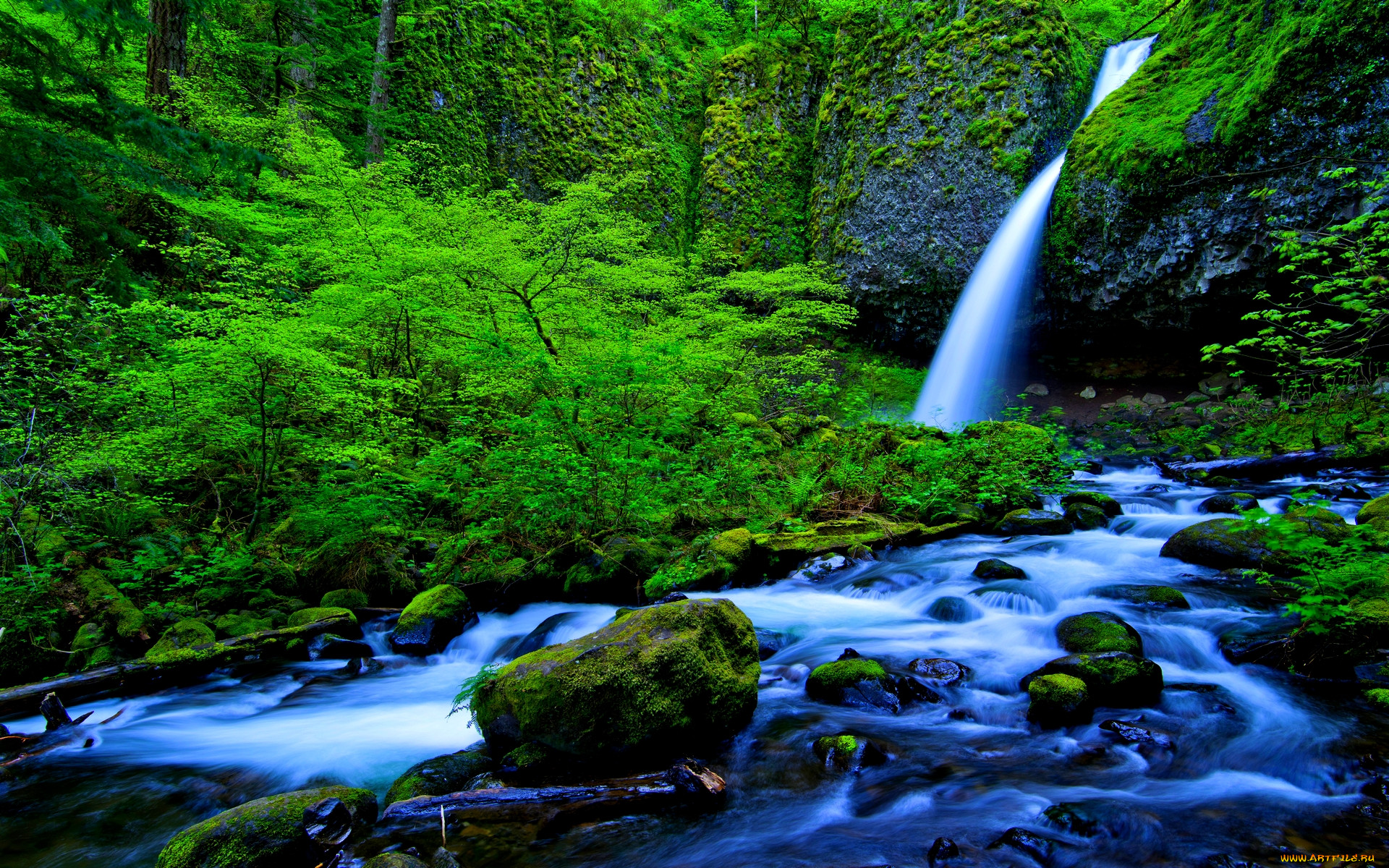rainforest, falls, stream, , , , , 